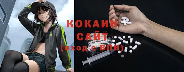 индика Абаза