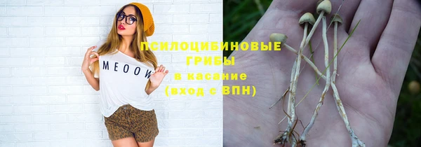 ГАЛЛЮЦИНОГЕННЫЕ ГРИБЫ Абинск