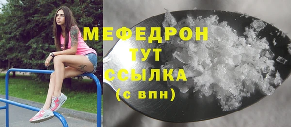 индика Абаза