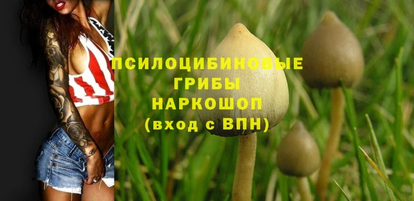 тгк Алексеевка