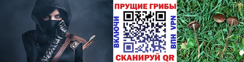 Галлюциногенные грибы GOLDEN TEACHER  Карачев 